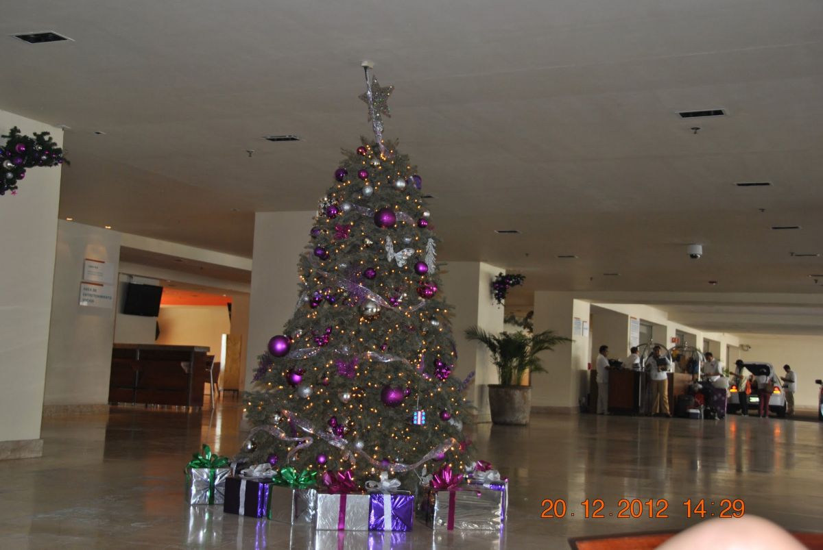 imagini hotel FIESTA AMERICANA VILLAS